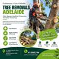 Professional Tree Removals Adelaide For Safe, Reliable Property Care