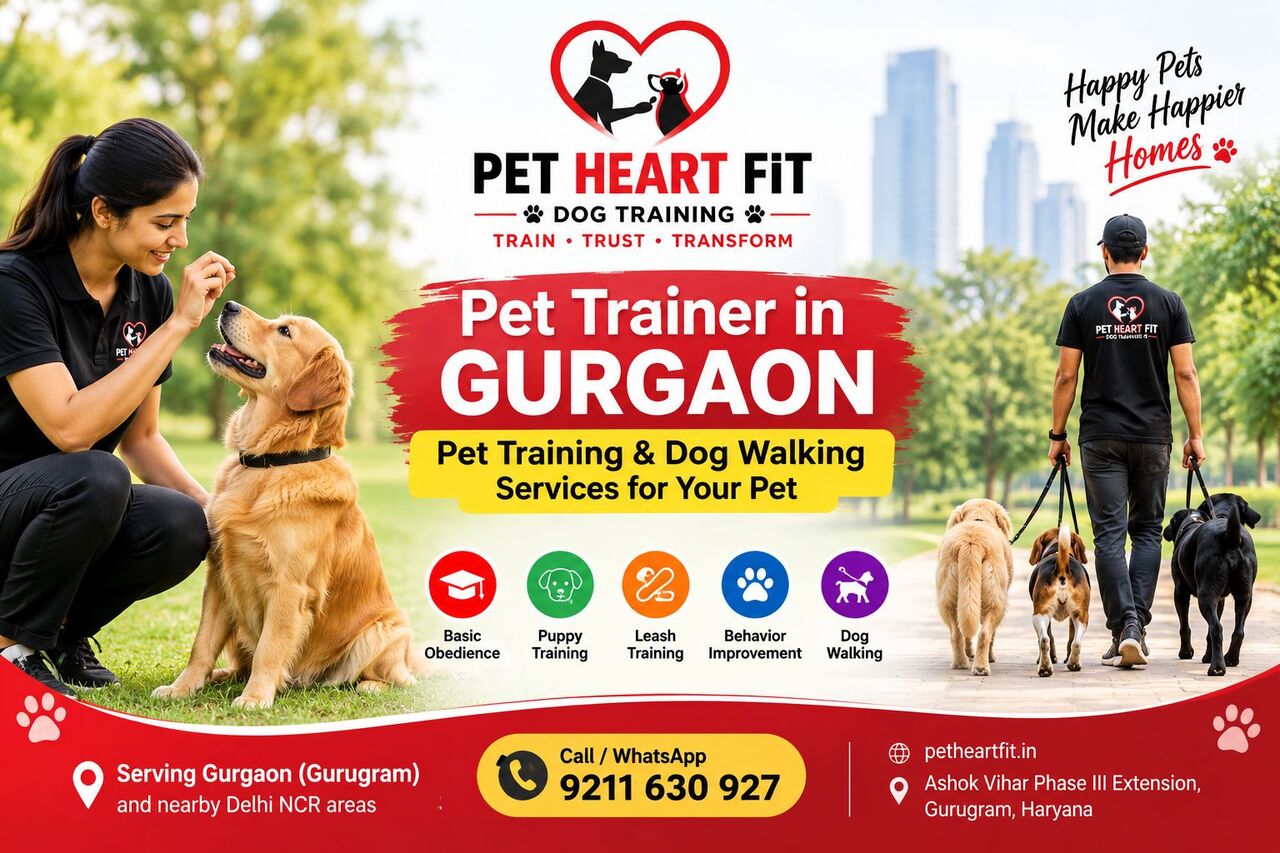 New Delhi, Pet Sitting, Pet Trainer Gurgaon | Professional Training For Better Behavior