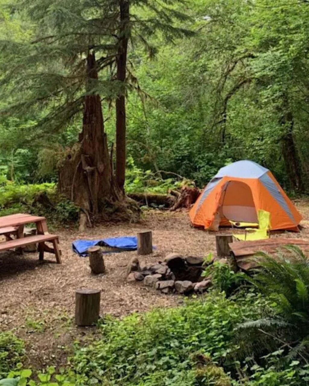 New York, Business, Campgrounds In North Cascades National Park