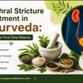 Urethral Stricture Treatment In Ayurveda: A Guide For New Patients