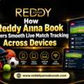 How Reddy Anna Book Delivers Smooth Live Match Tracking Across Devices