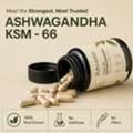 Organic KSM 66 Ashwagandha Capsule For Everyday Balance