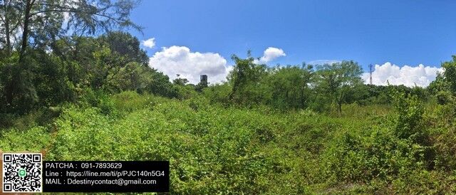 Bangkok, Real Estate For Sale, THB 1814000,  6 BR,  90 Sq. Feet,  ขายที่ดินเปล่าทำเลดี เขาหลัก พังง