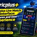 Cricplus Live Match Interface: Features And User Experience