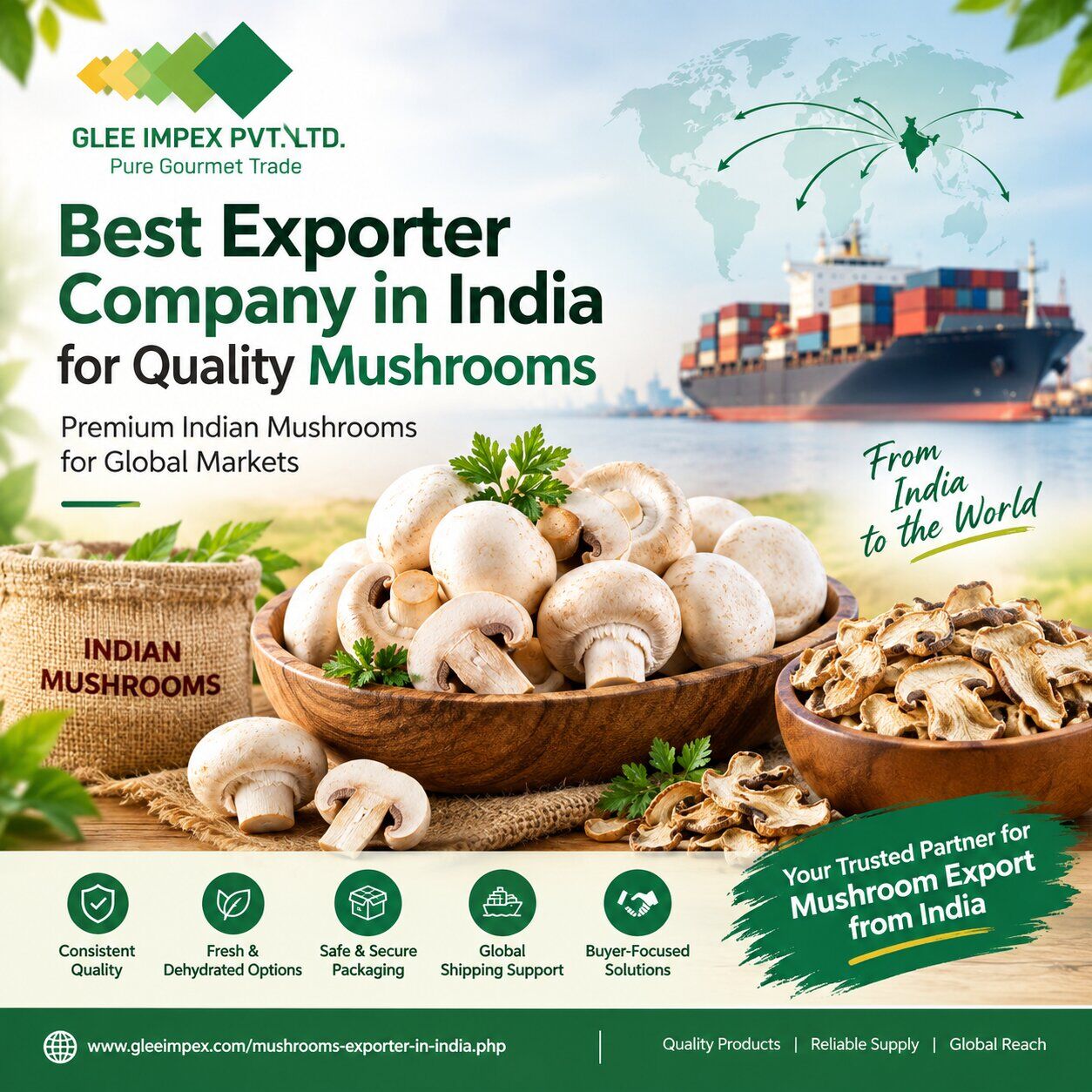 Mumbai, Health & Beauty Items, Mushroom Export From India: Choosing The Right Export Partner