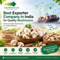 Mushroom Export From India: Choosing The Right Export Partner