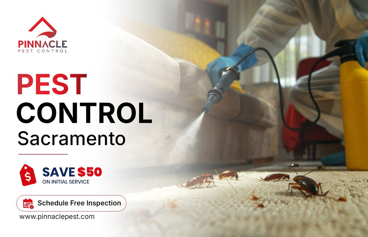 New York, Pest Control, Pest Control Sacramento CA &ndash; Local Pest Experts