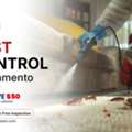 Pest Control Sacramento CA &ndash; Local Pest Experts