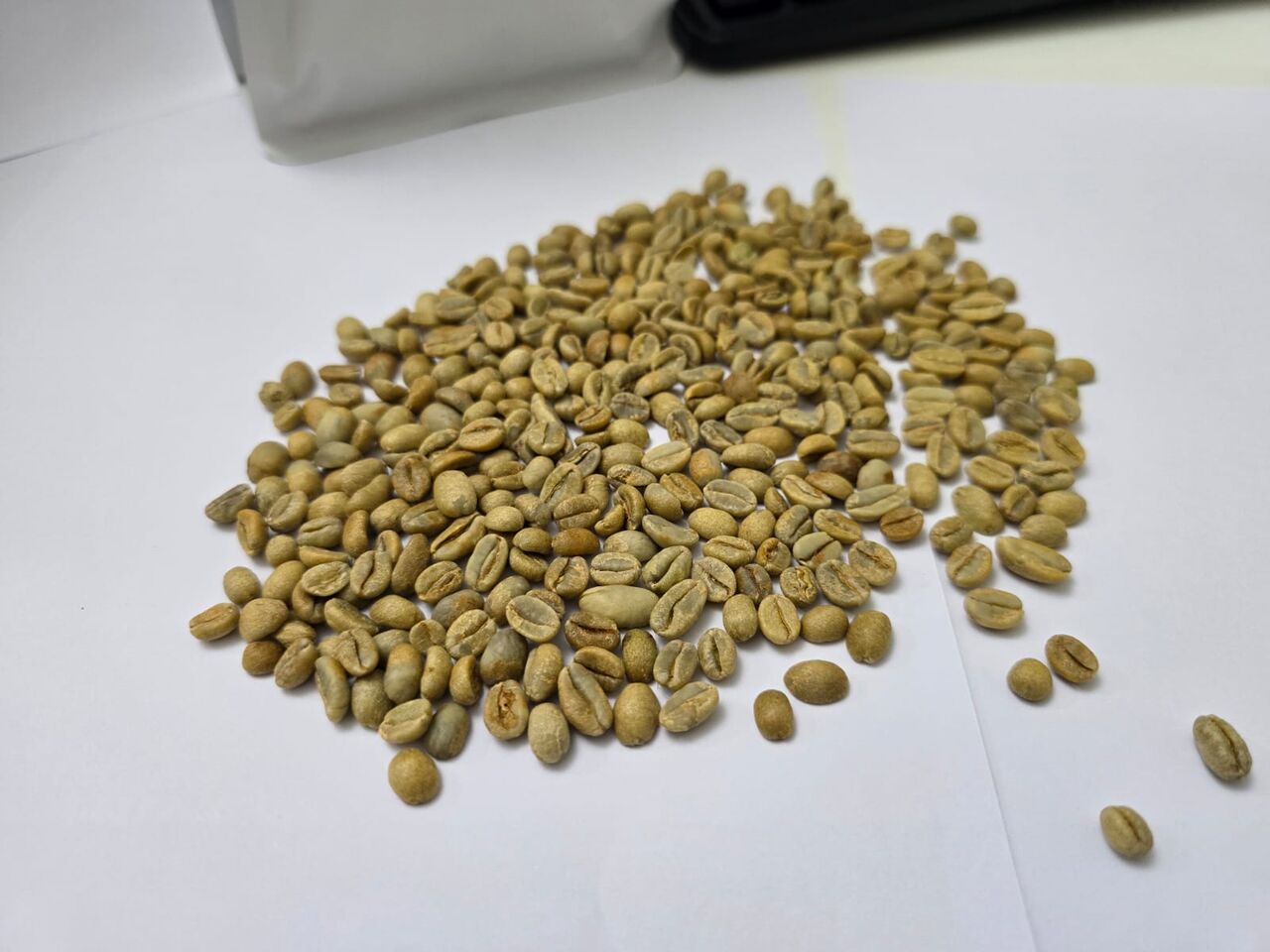 Jeddah, Food, SAR 30,  ☕ FRESH COFFEE BEANS — GREEN & ROASTED