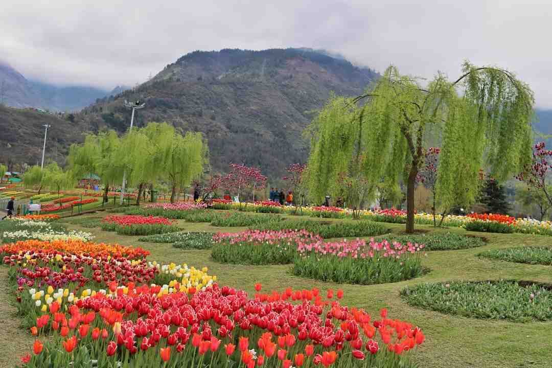 Mumbai, Travel, Srinagar Delights Tour  4 Nights PACKAGE CATEGORY : Family, Group DESTINATIONS COVERED : 4