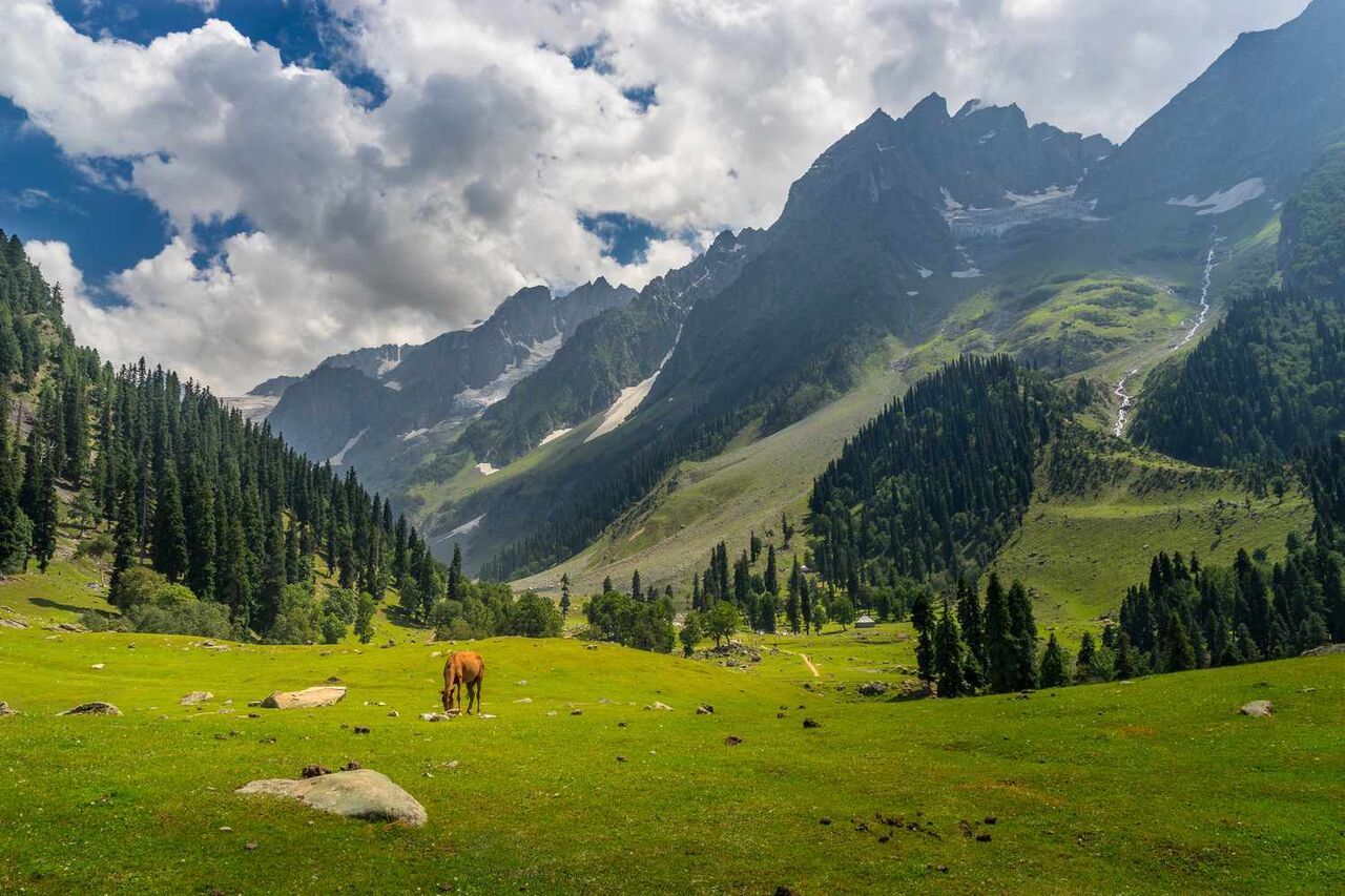 Mumbai, Travel, Srinagar Delights Tour  4 Nights PACKAGE CATEGORY : Family, Group DESTINATIONS COVERED : 4
