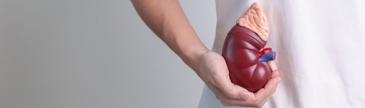 New York, Health, Personalized Kidney Transplant Referral & Support Assistance