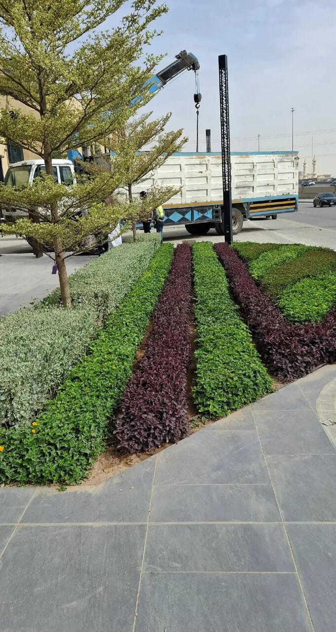 Riyadh, Farm/Garden, Gradening