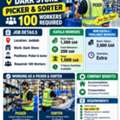 Pickers & Sorters