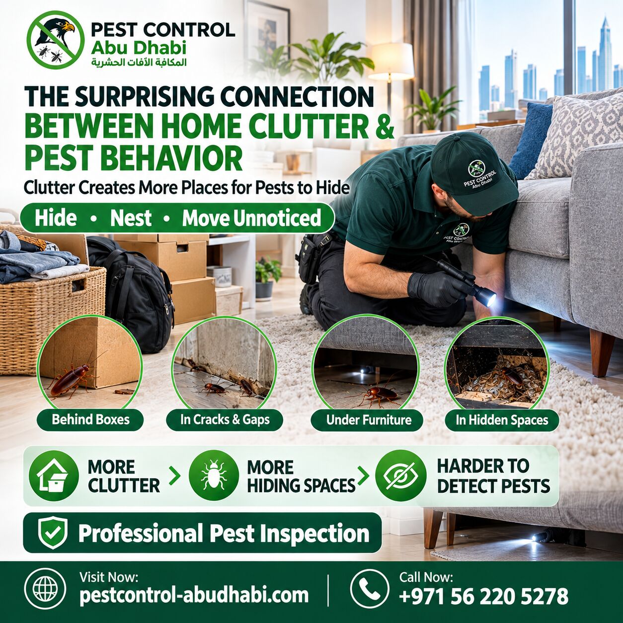 Kabul, Pest Control, The Surprising Connection Between Home Clutter And Pest Behavior