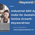Industrial SEO Agency In India For Sustainable Online Growth - Keywordriser