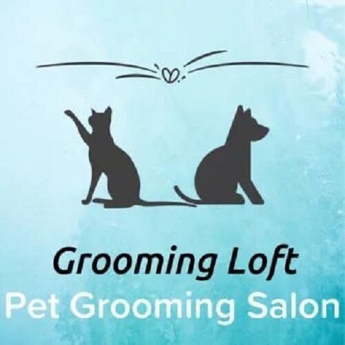 Toronto, Pet Sitting, Grooming Loft Pet Salon