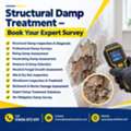 Structural Damp Treatment – Book Your Expert Survey