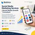 INR 100, Social Media Marketing Services | Social Media Growth Consultant – Bizklinics