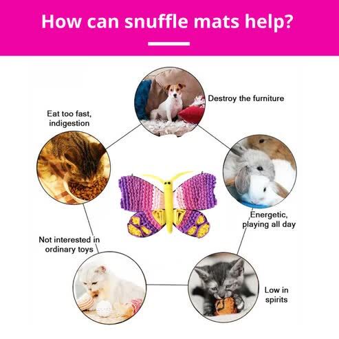 Hamilton-Burlington, Pet Supplies, CAD 79,  Is Your Dog Looking For A More Exciting Way To Find Treats?