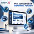 What Defines The Best WordPress Partner In 2026?
