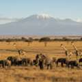 Mombasa Kenya Holiday Packages