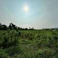 THB 32786250,  6 BR,  1748 Sq. Feet,  ขายที่ดินเปล่าผังสีส้มจุด ห้วยก
