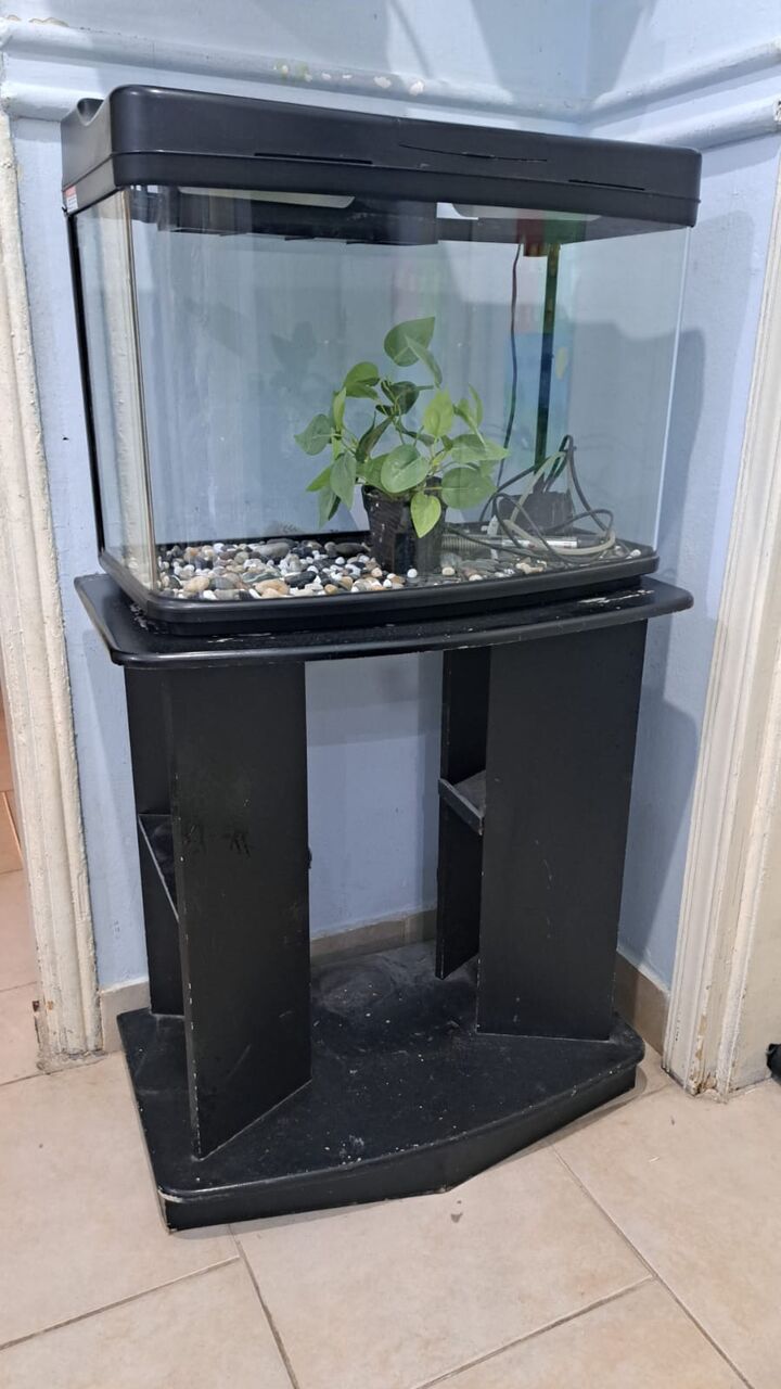Al Sulaymaniyyah, Household Items, Bamboo Wood Shoe Rack + Fish Aquarium + TV Trolley + Kids Table With 2 Chairs