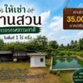 THB 35,  600 Sq. Feet,  ให้เช่าบ้านชลบุรี ให้เช่าบ้านสวน พ