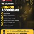 Junior Accountant With Invetory Experience
