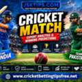 How Can Cricket Match Tips Improve Your Match Analysis?