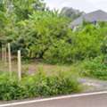 THB 1200000,  6 BR,  100 Sq. Feet,  ขายที่เปล่า 100ตรว. 1.2ลบ. ฟรีโอน ใกล้ถนน