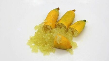 Sydney, Farm & Garden, AUD 15,  Finger Lime For Sale Australia &ndash; Discover Quality Citrus Plants