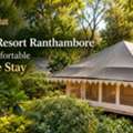 Sariska Resort Alwar For A Peaceful Jungle Stay Escape Trip