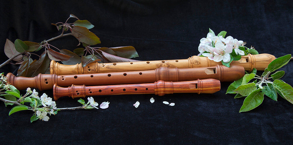Sydney, Musical Instruments, Shop Recorder Online With Confidence