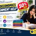Microeconomics Assignment Help For Better Academic Understanding
