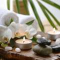 Professional Massage Therapy
