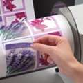 Label Printing Auckland