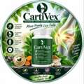CartiVex Reviews &ndash; Benefits, Ingredients, Side Effects & Results