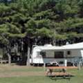 Plan A Memorable Escape To River Road Campground