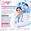 Frozen Embryos