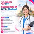 Success Rate Of IVF In Thailand