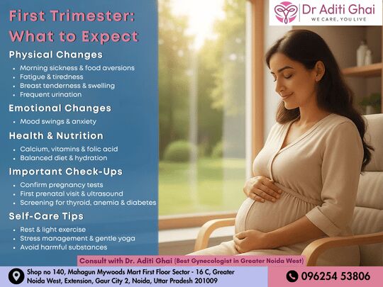 Greater Noida, Health & Beauty Items, First Trimester Care Guide From The Best Gynecologist In Greater Noida West