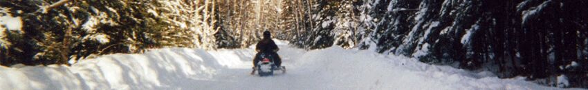 New York, Travel, Explore Trails With Trout Lake MI Snowmobile Trail Report