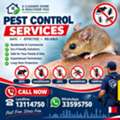 Pest Control Services