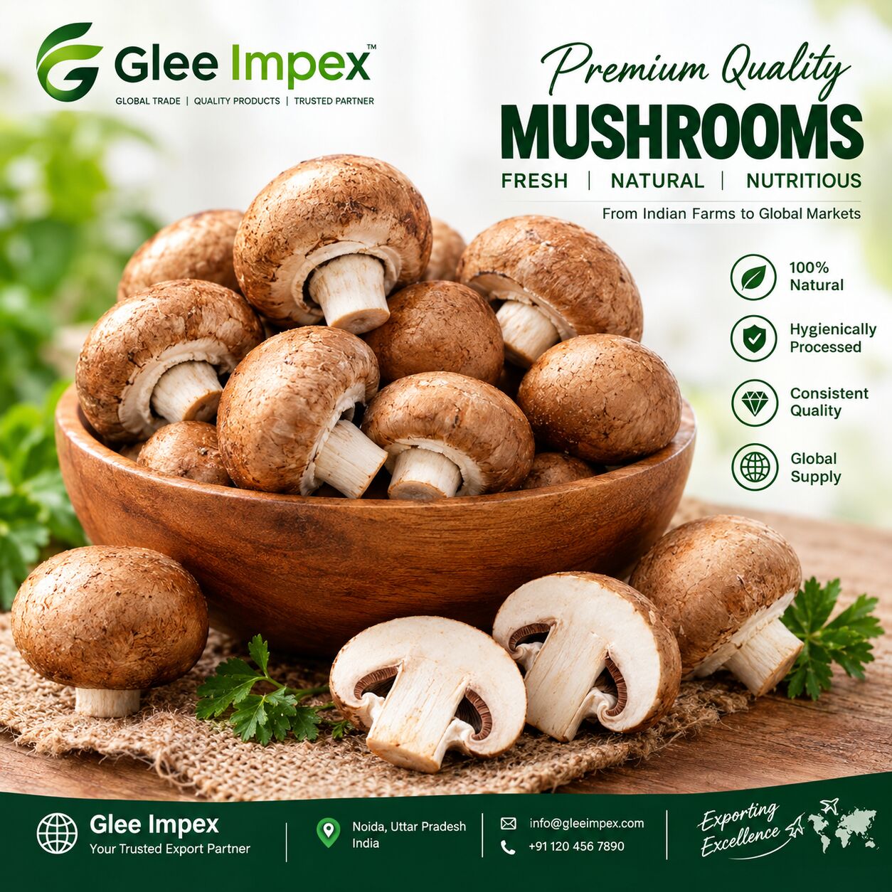 Mumbai, General, Mushrooms Exporter In India &ndash; Glee Impex