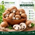 Mushrooms Exporter In India – Glee Impex