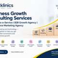 INR 100,  Business Growth Consulting Services | Growth-as-a-Service | B2B Growth Agency, Bizklinics