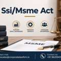 How Can SSI/MSME Act Protect Small Business Rights?