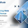 Web Solution Company